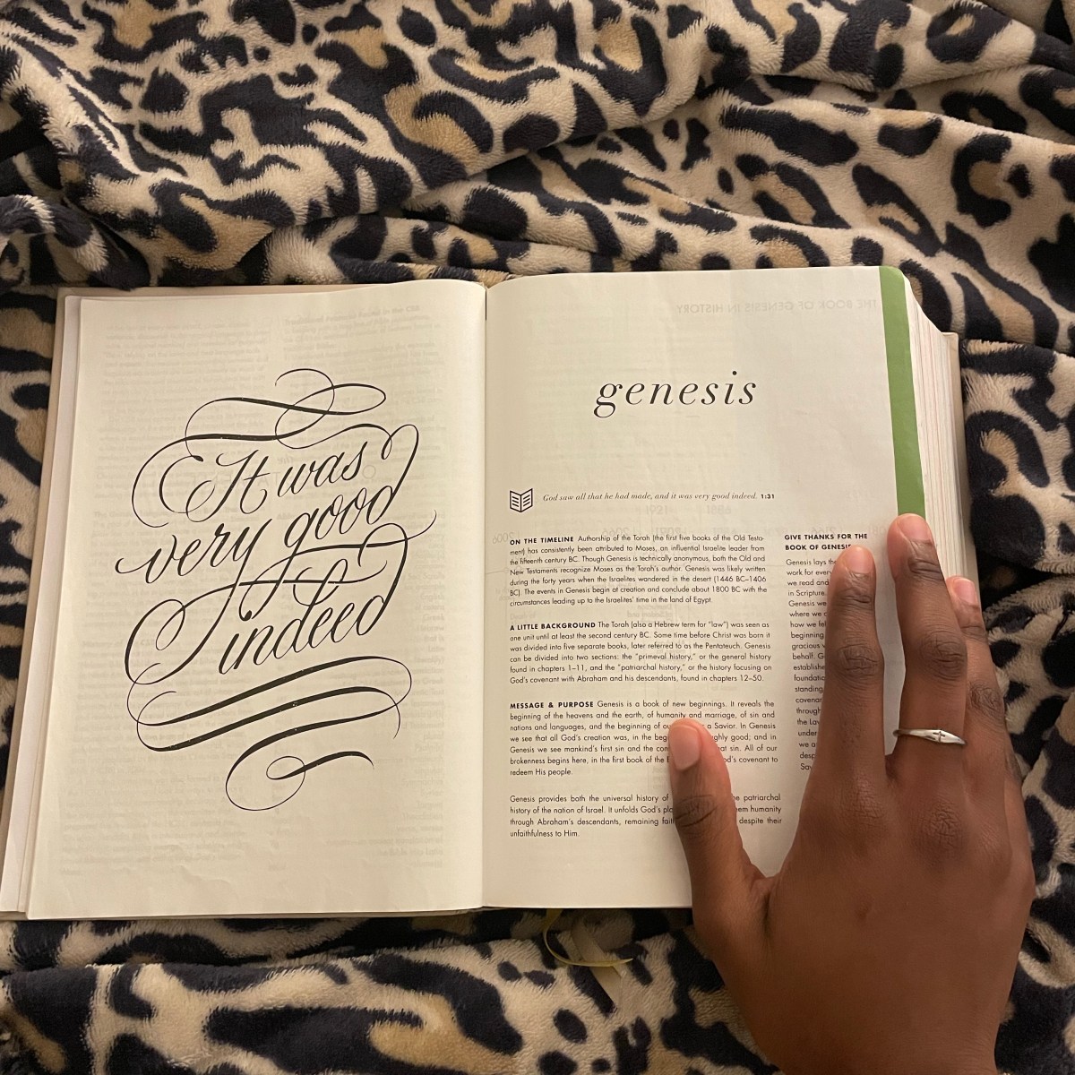 THE IMPORTANCE OF REST AND&nbsp;SABBATH